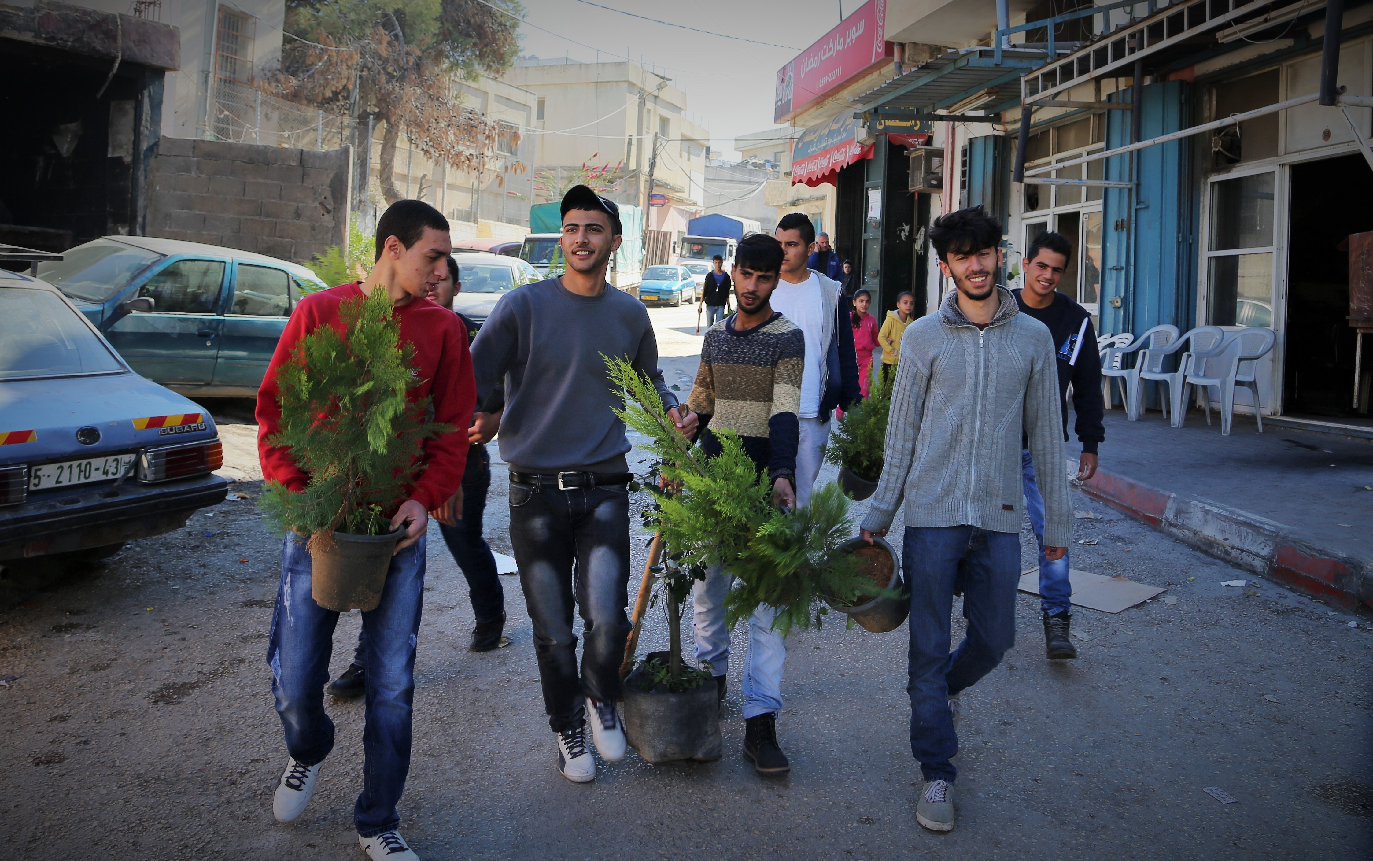 Addameer volunteers plant trees in Jalazone | Addameer